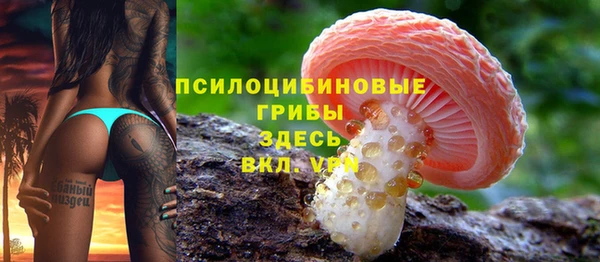 дмт Медногорск