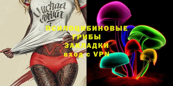 герыч Мегион
