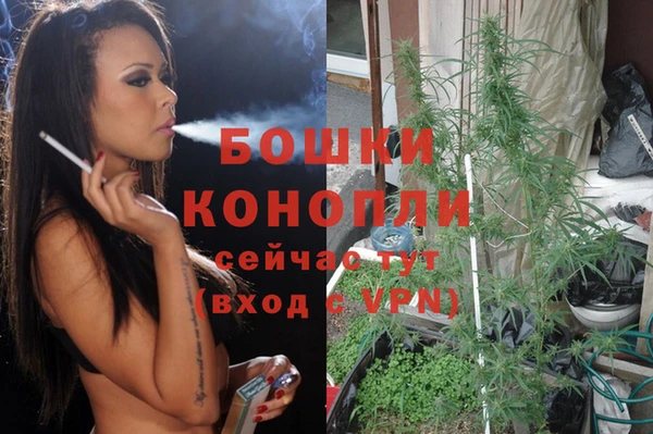 герыч Мегион