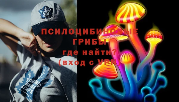 амф Медвежьегорск