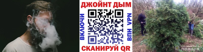 гидра сайт  Энем  Конопля планчик 